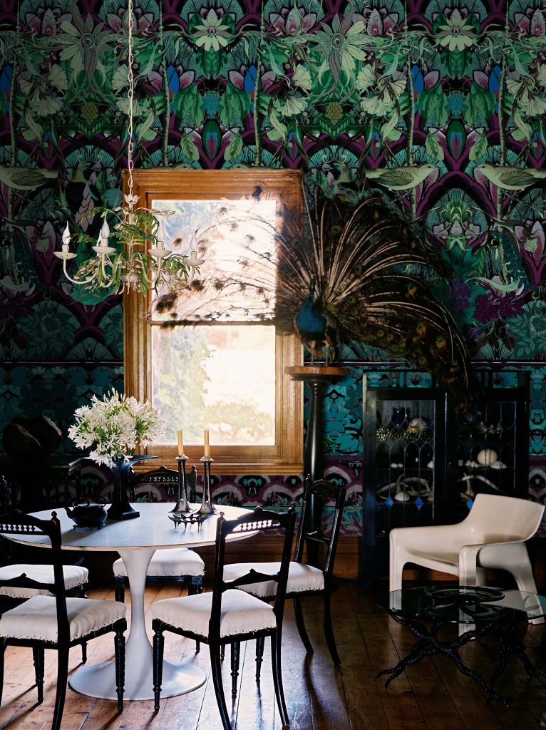 The Stella Aubergine